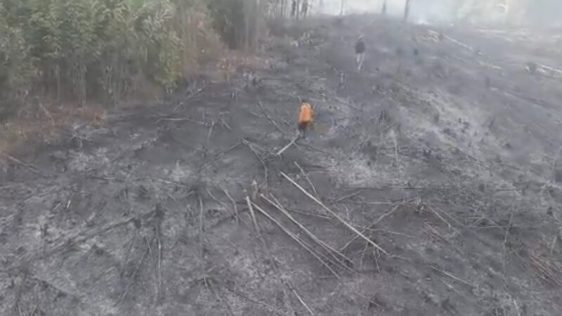 Modifikasi Cuaca Dinilai Efektif Tangani Karhutla di Sumbar