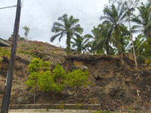 Karhutla Limapuluh Kota Sudah Padam, tapi Penyidikan Aktor Pembakar Sedang Berlangsung