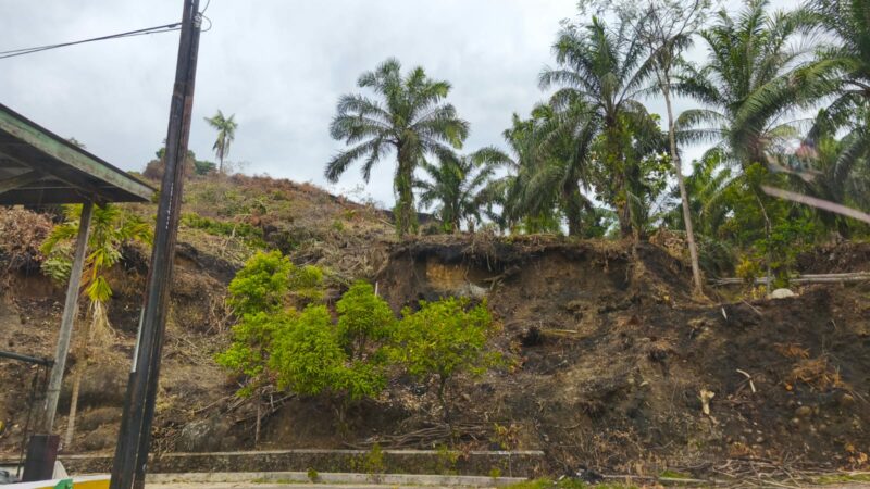 Karhutla Limapuluh Kota Sudah Padam, tapi Penyidikan Aktor Pembakar Sedang Berlangsung