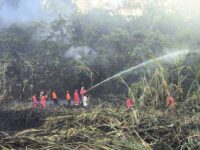 BPBD Sumbar Sebut Modifikasi Cuaca Berhasil Padamkan Karhutla