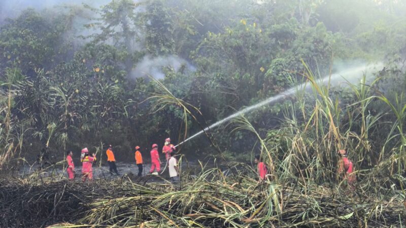BPBD Sumbar Sebut Modifikasi Cuaca Berhasil Padamkan Karhutla
