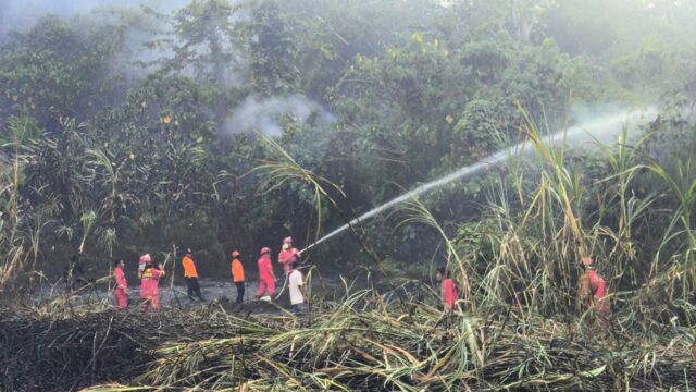 Karhutla di Kabupaten Solok