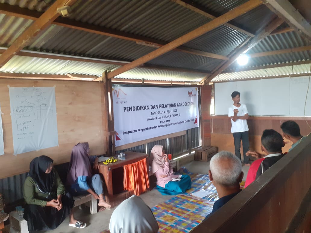 Petani Padang Bangkit: Menanam Harapan dari Pondok Agroekologi Sawah Lua