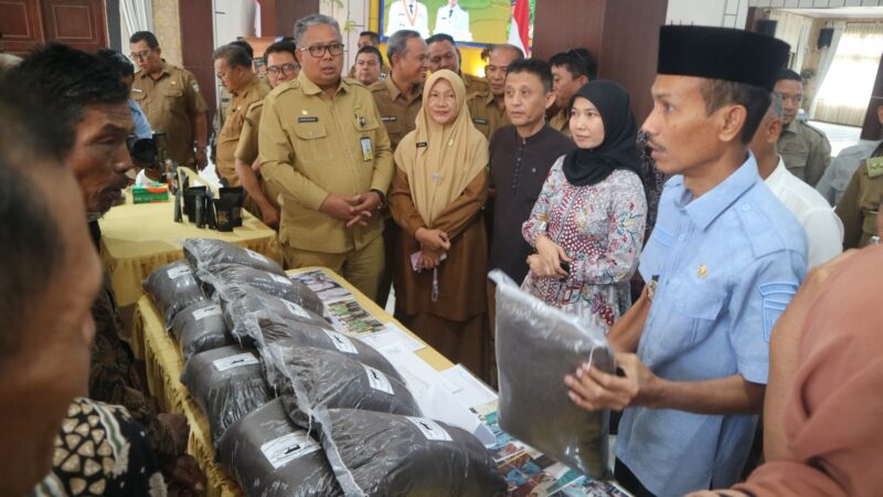 Solok Selatan Panen 33 Usaha Berbasis Masyarakat dari Program Perhutanan Sosial