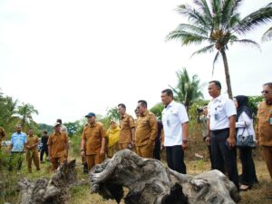 Lahan seluas dua hektare (Ha) disiapkan untuk membangun relokasi Rumah Tahanan (Rutan) Kelas II B Batusangkar. Lahan tersebut berada