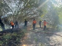 Petugas gabungan memadamkan karhutla di Kabupaten Tanah Datar.
