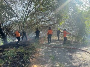 Petugas gabungan memadamkan karhutla di Kabupaten Tanah Datar.