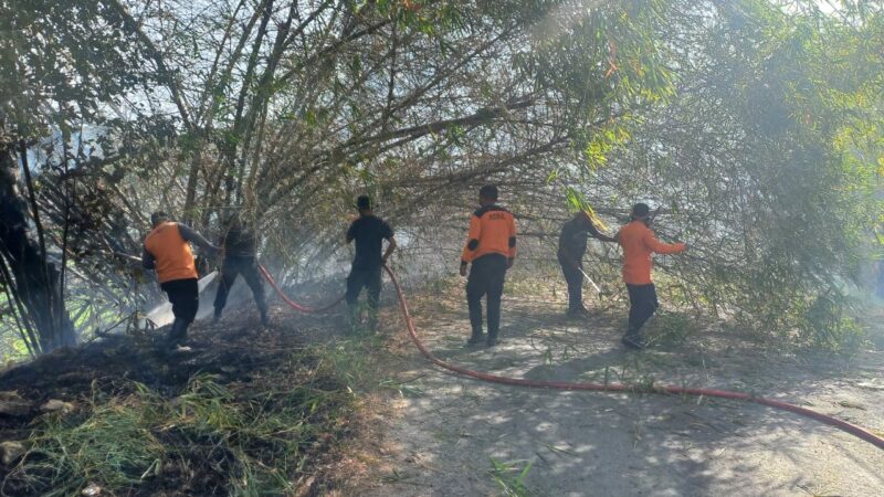 Petugas gabungan memadamkan karhutla di Kabupaten Tanah Datar.