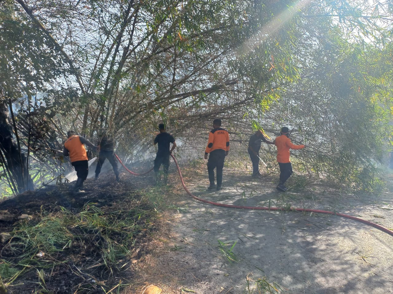 Mitigasi Karhutla, BPBD Sumbar Siapkan Opsi Modifikasi Cuaca