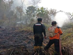 BPBP Kabupaten Limapuluh Kota memadamkan kebakaran hutan dan lahan atau Karhutla, Minggu (20/7/2025). DOK BPBD