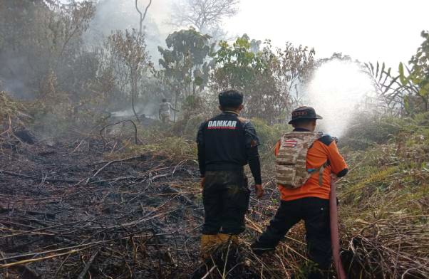 Karhutla Meluas, BPBD Sumbar Bakal Tetapkan Status Siaga Darurat