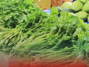 Perkembangan Harga di Pasar Pusat Padang Panjang, Sejumlah Komoditas Turun