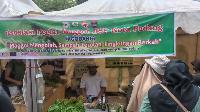 Agodang Jadikan Maggot Mesin Hidup Urai 15 Ton Sampah Padang Tiap Hari