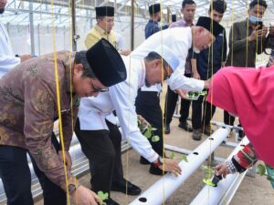 Gubernur Mahyeldi Tanam Perdana Melon Hidroponik di Lumin’s Farm