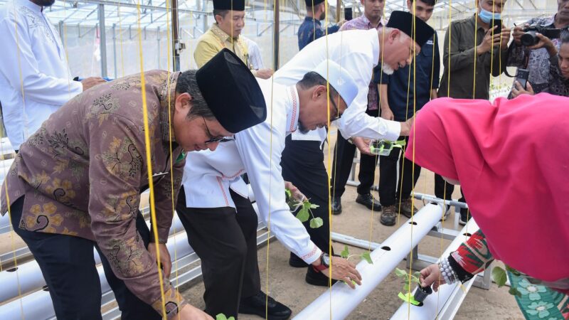 Gubernur Mahyeldi Tanam Perdana Melon Hidroponik di Lumin’s Farm