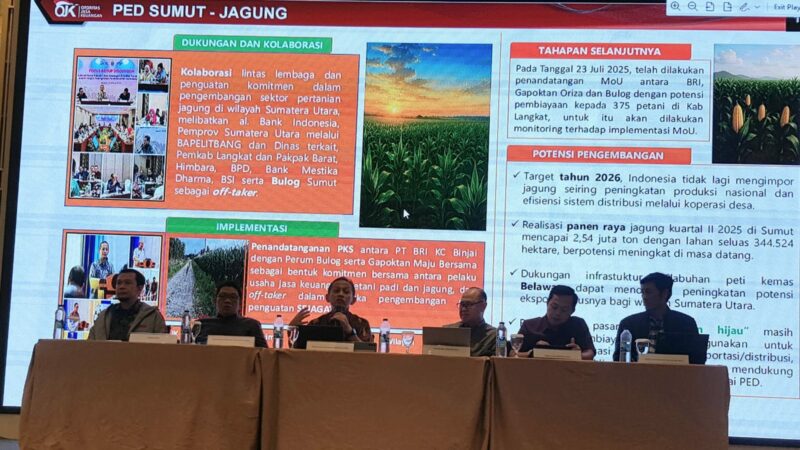 OJK Perkuat Peran Sektor Keuangan Dorong Pertumbuhan Ekonomi di Sumatera Bagian Utara