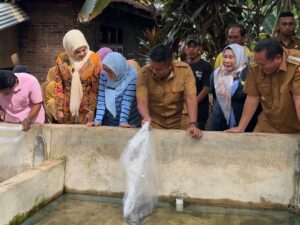 Wagub Sumbar Serahkan Induk Unggul Lele kepada Pembudidaya di Pariaman