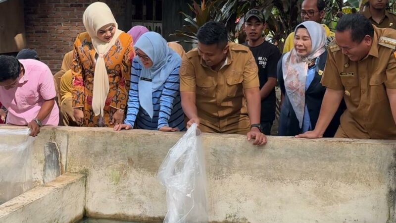 Wagub Sumbar Serahkan Induk Unggul Lele kepada Pembudidaya di Pariaman