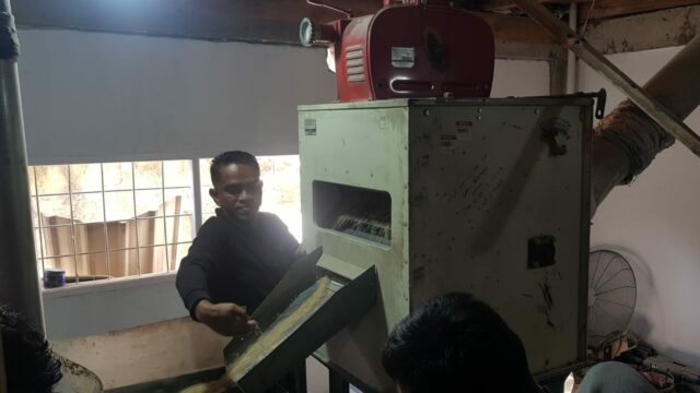 Lebih Efisien dan Murah, Huller Nadira Beralih dari Penggilingan Solar ke Listrik