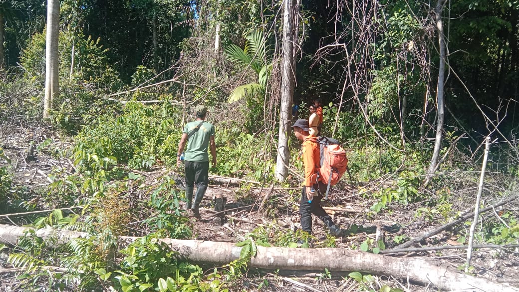 Tim SAR Gabungan Lakukan Pencarian Warga Hilang di Hutan Mentawai
