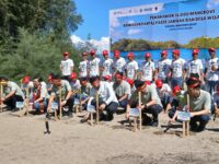 16 Ribu Mangrove Ditanam di Pasir Jambak