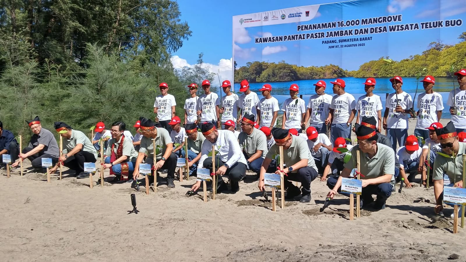 16 Ribu Mangrove Ditanam di Pasir Jambak
