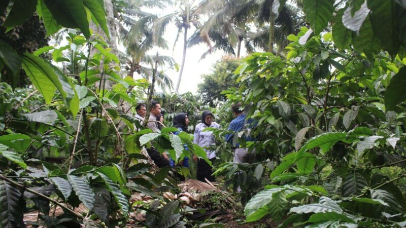 Wakil Bupati Dharmasraya, Leli Arni didampingi Staf Ahli Bupati Bidang Ekonomi, Keuangan dan Pembangunan, Sasrawati melakukan