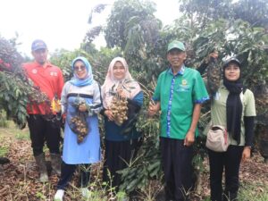 Dorong Peningkatan Ketahanan Pangan, Wabup Dharmasraya Kunjungi Kebun Warga