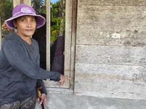Sipora: Pulau Kecil, Beban (Bencana) Ekologis Besar