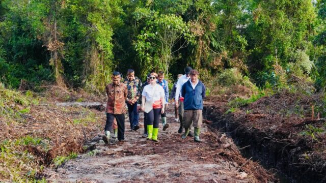 Kementerian Pendidikan Tinggi, Sains, dan Teknologi (Kemdikti Saintek) terus menyeleksi lokasi pembangunan Sekolah Garuda baru.