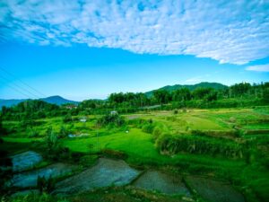 Rencana pembangunan Pembangkit Listrik Tenaga Panas Bumi (PLTP) Tandikek-Singgalang di Nagari Pandai Sikek, Tanah Datar, menuai penolakan
