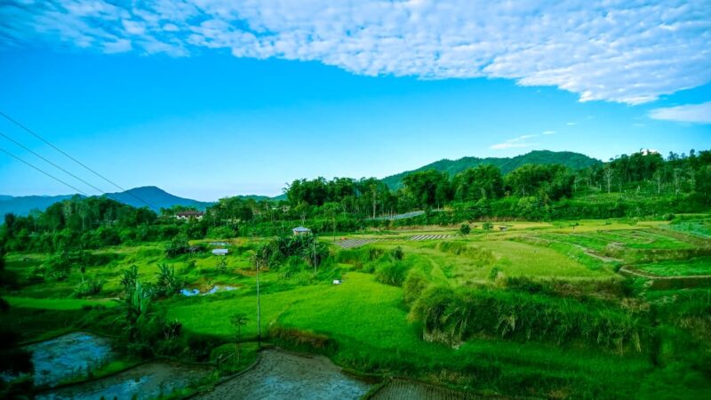 Rencana pembangunan Pembangkit Listrik Tenaga Panas Bumi (PLTP) Tandikek-Singgalang di Nagari Pandai Sikek, Tanah Datar, menuai penolakan