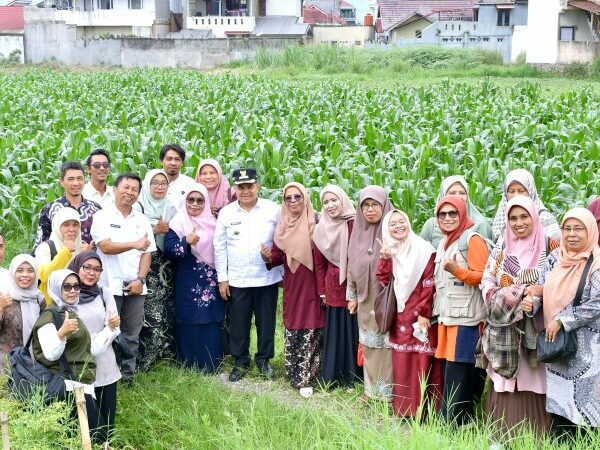 Bupati Agam Dorong Optimalisasi 700 Hektare Lahan Terlantar untuk Jagung
