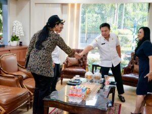 Bupati Dharmasraya, Annisa Suci Ramadhani bertemu dengan Sekretaris Jenderal Kementerian Dalam Negeri (Kemendagri), Tomsi Tohir, di Jakarta