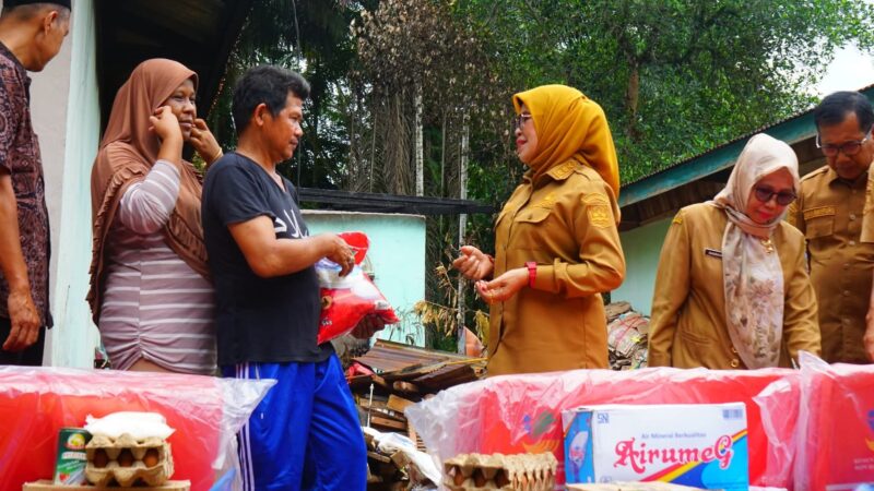 Wabup Dharmasraya Serahkan Bantuan untuk Korban Kebakaran di Pulau Punjung