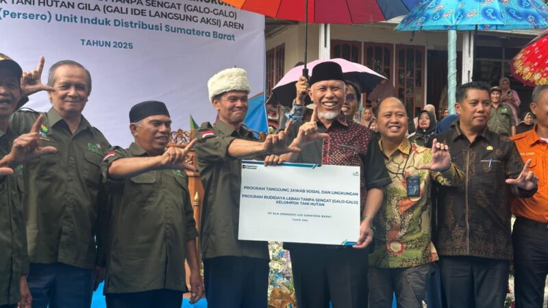 Terima Bantuan PLN untuk Kelompok Tani Nagari Koto Malintang, Gubernur Sebut Berikan Dampak Ekonomi ke Masyarakat