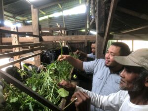Dibantu UPZ Semen Padang, Kambing Etawa Jadi Harapan Baru Ekonomi Warga Kampung Padayo