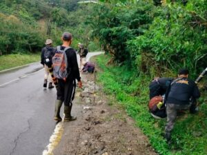BKSDA Sumbar menurunkan tim penanganan dari Resor Konservasi Wilayah (RKW) II Maninjau menindaklanjuti laporan adanya kemunculan harimau