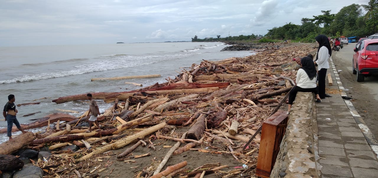 Pembalakan Diduga Pemicu Banjir di Sumbar, Kayu Gelondongan Berserakan di Pantai Padang