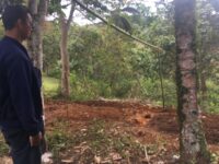 Warga Subarang Aia Agam Gali Empat Kuburan Massal untuk Pemakaman Korban Galodo