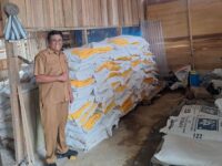 Bupati Dharmasraya menyalurkan bantuan bibit jagung hibrida Pioneer melalui Dinas Pertanian sebanyak 1.500 Kg untuk 100 hektare lahan