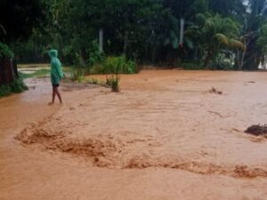 Hujan Sejak Pagi, BPBD Padang Ingatkan Warga Jauhi Aliran Sungai