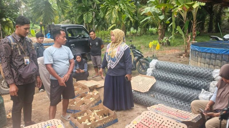 Pemkab Dharmasraya Salurkan Bantuan Peternakan Rp1,38 Miliar untuk 16 KUB