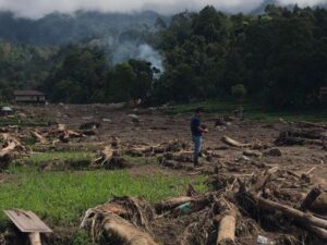 Sumatera Nyaris Tenggelam! Gelombang Banjir dan Jejak Kayu yang Mengungkap Luka Hutan Sumatera