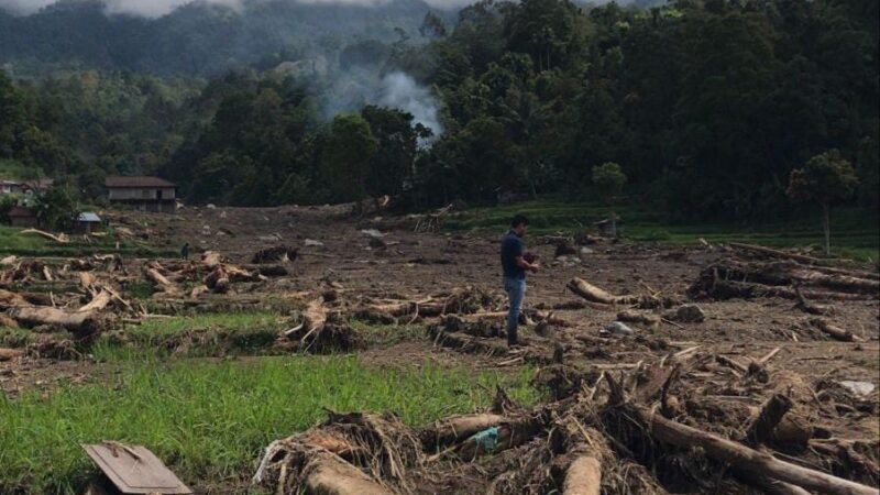 Sumatera Nyaris Tenggelam! Gelombang Banjir dan Jejak Kayu yang Mengungkap Luka Hutan Sumatera