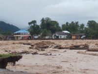 Banjir di Sumatera: Soal Air, Hutan, dan Negara