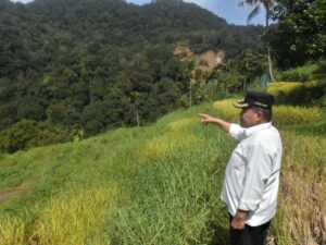 Sumber Banjir Bandang dari Batang Aia Muaro Pisang Diduga Berada di Kelok 28