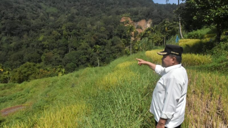 Sumber Banjir Bandang dari Batang Aia Muaro Pisang Diduga Berada di Kelok 28