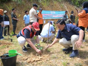 PT Semen Padang Serahkan 10 Ribu Bibit Kaliandra Dukung Gerakan Sejuta Pohon
