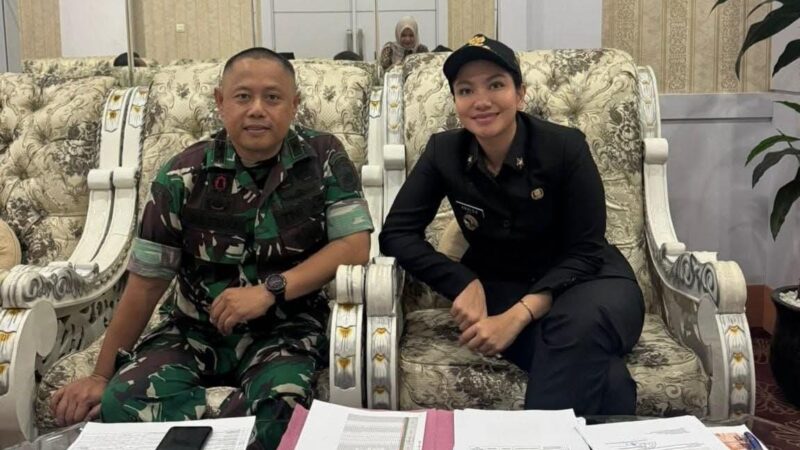 Dua jembatan yang rusak akibat banjir di Dharmasraya dikabarkan akan segera kembali oleh pemerintah pusat. Ini merupakan bagian dari program